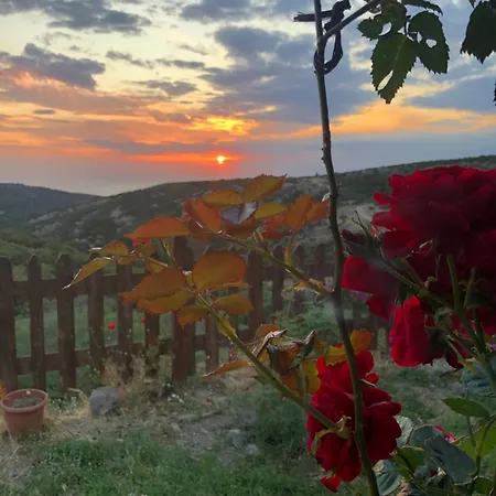 Bed & Breakfast Pirnal Koey Evi