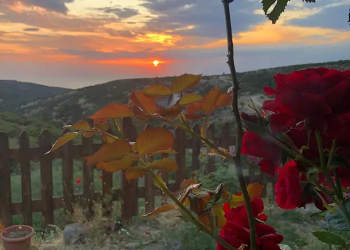 فندق مبيت وإفطار Pirnal Koey Evi